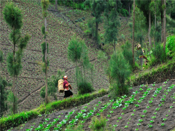 土壤墑情監(jiān)測(cè)站可提供全面的信息服務(wù) 土壤墑情監(jiān)測(cè)站可提供全面的信息服務(wù)