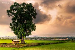 土壤水分速測儀主要有哪些優點?