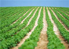 土壤墑情監測站有哪些價值體現？