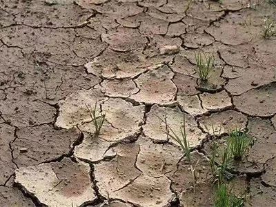 土壤水分流失 土壤水分流失