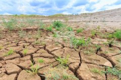 安裝土壤墑情自動(dòng)監(jiān)測(cè)系統(tǒng)有哪些好處?