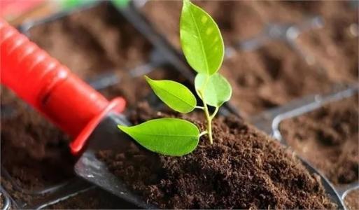 土壤墑情監(jiān)測系統(tǒng)有什么用途 土壤墑情監(jiān)測系統(tǒng)有什么用途