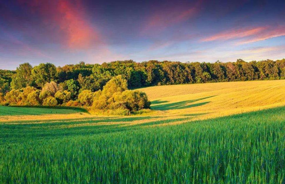 土壤墑情監(jiān)測系統(tǒng)在旱情分析中的作用 土壤墑情監(jiān)測系統(tǒng)在旱情分析中的作用