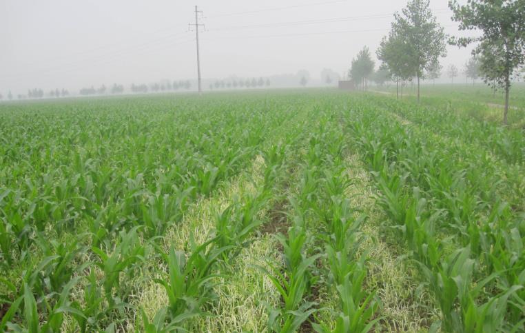 基于物聯網的農業墑情監測系統 基于物聯網的農業墑情監測系統