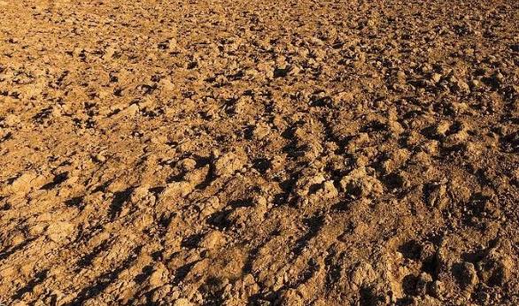 土壤墑情監測烘干法介紹 土壤墑情監測烘干法介紹