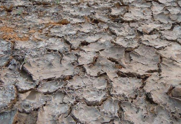 土壤墑情監測系統在物聯網浪潮下的升級換代 土壤墑情監測系統在物聯網浪潮下的升級換代