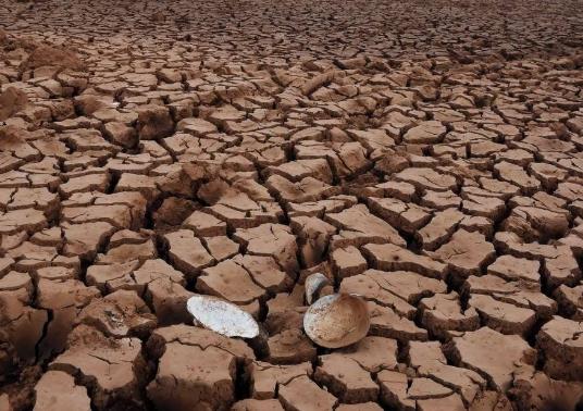 遠(yuǎn)程墑情自動(dòng)監(jiān)測(cè)系統(tǒng)設(shè)計(jì)思路 遠(yuǎn)程墑情自動(dòng)監(jiān)測(cè)系統(tǒng)設(shè)計(jì)思路